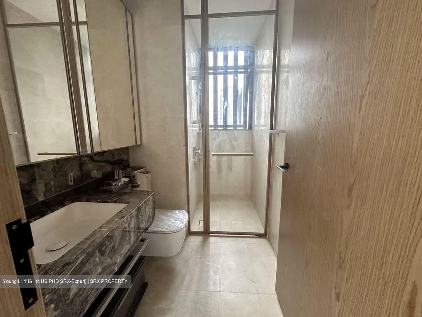 The Avenir (D9), Condominium #540104851
